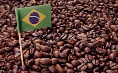 Why Brizilian and Ethiopian coffee blends are the best?
